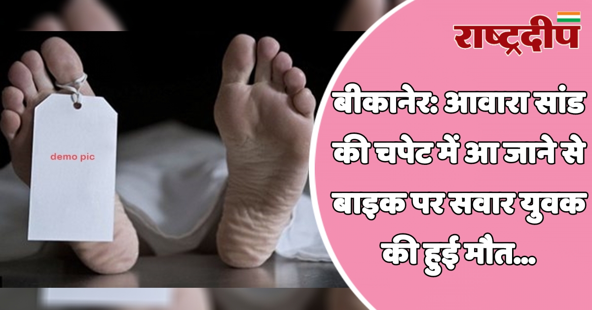 बीकानेर: आवारा सांड की चपेट में…