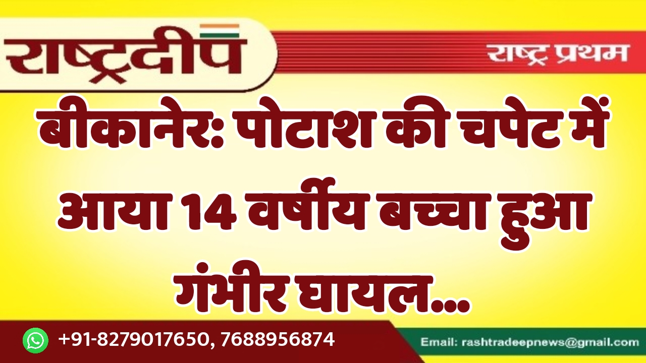 बीकानेर: पोटाश की चपेट में आया…