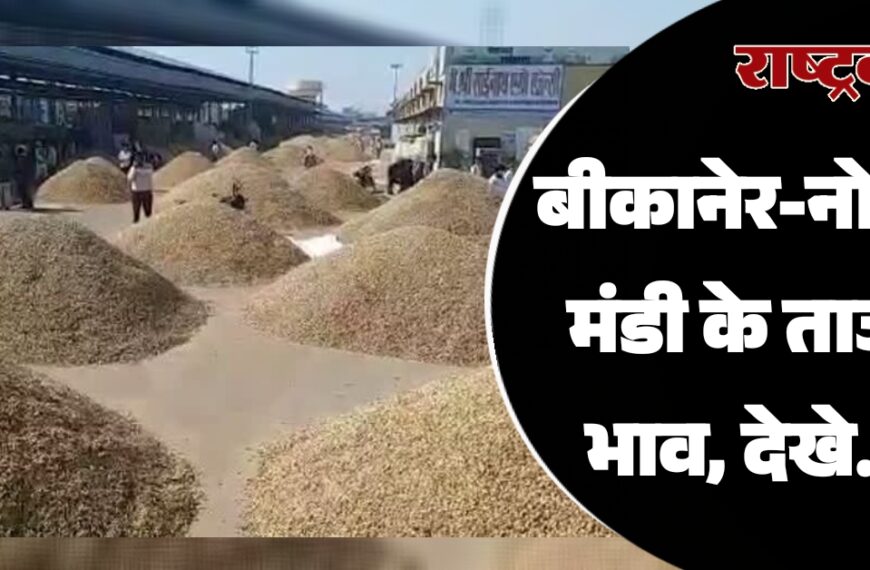 बीकानेर-नोखा मंडी के ताजा भाव, देखे…