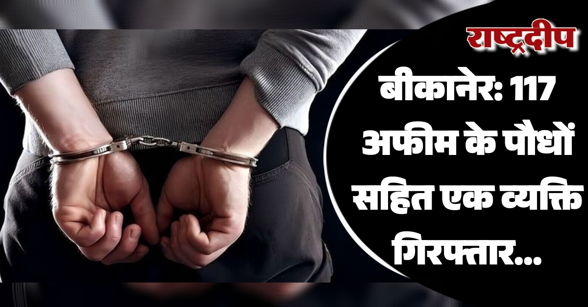बीकानेर: 117 अफीम के पौधों सहित…