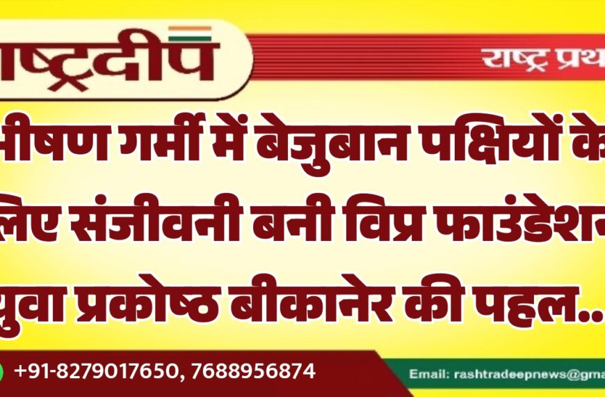 भीषण गर्मी में बेजुबान पक्षियों के लिए संजीवनी बनी विप्र फाउंडेशन युवा प्रकोष्ठ बीकानेर की पहल…