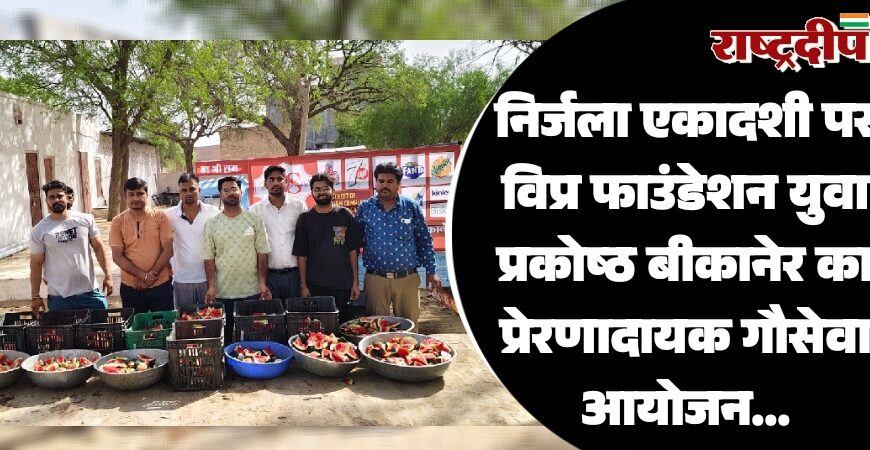 निर्जला एकादशी पर विप्र फाउंडेशन युवा प्रकोष्ठ बीकानेर का प्रेरणादायक गौसेवा आयोजन…