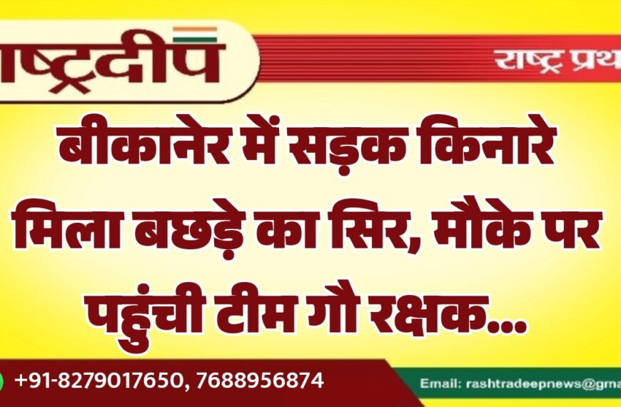 बीकानेर में सड़क किनारे मिला बछड़े का सिर, मौके पर पहुंची टीम गौ रक्षक…