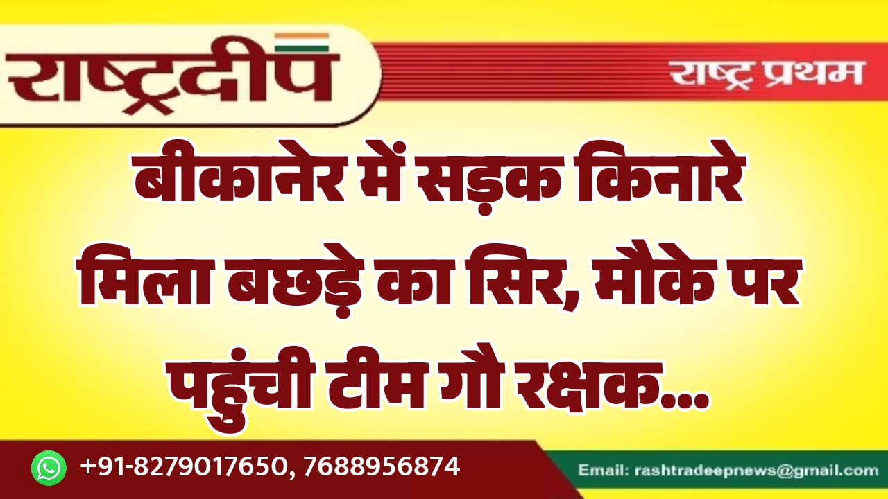 बीकानेर में सड़क किनारे मिला बछड़े का सिर, मौके पर पहुंची टीम गौ रक्षक…