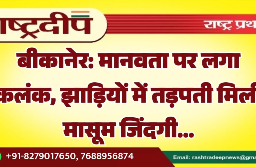 बीकानेर: मानवता पर लगा कलंक, झाड़ियों में तड़पती मिली मासूम जिंदगी…