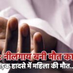 बीकानेर: नीलगाय बनी मौत का कारण, सड़क हादसे में महिला की मौत…