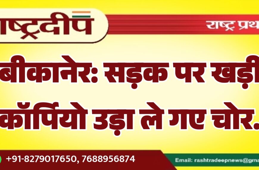 बीकानेर: सड़क पर खड़ी स्कॉर्पियो उड़ा ले गए चोर…