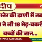 बीकानेर की ढाणी में तबाही, आग ने ली 18 भेड़-बकरी के बच्चों की जान…