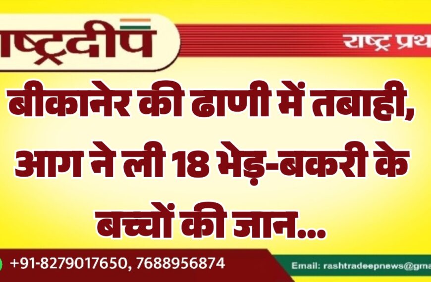 बीकानेर की ढाणी में तबाही, आग ने ली 18 भेड़-बकरी के बच्चों की जान…