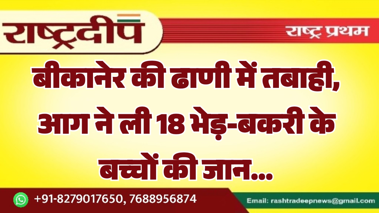 बीकानेर की ढाणी में तबाही, आग&hellip;