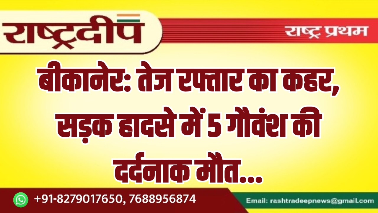 बीकानेर: तेज रफ्तार का कहर, सड़क&hellip;