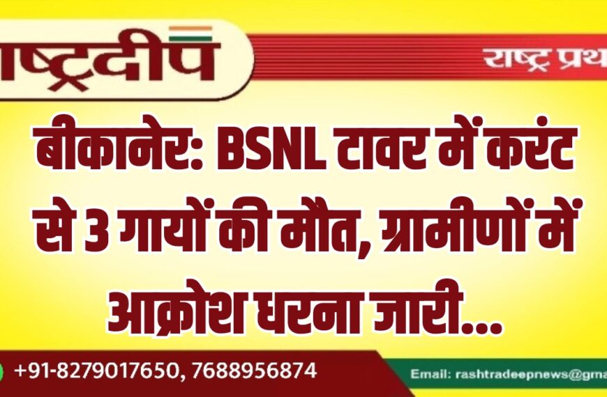 बीकानेर: BSNL टावर में करंट से 3 गायों की मौत, ग्रामीणों में आक्रोश धरना जारी…