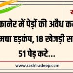 बीकानेर में पेड़ों की अवैध कटाई से मचा हड़कंप, 18 खेजड़ी समेत 51 पेड़ कटे…