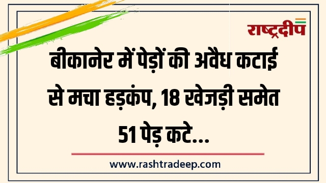 बीकानेर में पेड़ों की अवैध कटाई से मचा हड़कंप, 18 खेजड़ी समेत 51 पेड़ कटे…
