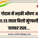 FCI गोदाम में भड़की भीषण आग, 11.55 लाख किलो मूंगफली जलकर राख…