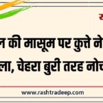 2 साल की मासूम पर कुत्ते ने किया हमला, चेहरा बुरी तरह नोचा…